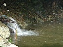 2004-09-26 022.JPG
